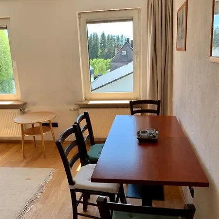 Ferienhaus Lodge, Nahe Am Skigebiet, 8 Bäder, 2 Küchen Winterberg