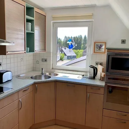 Lodge, Nahe Am Skigebiet, 8 Bäder, 2 Küchen * Winterberg